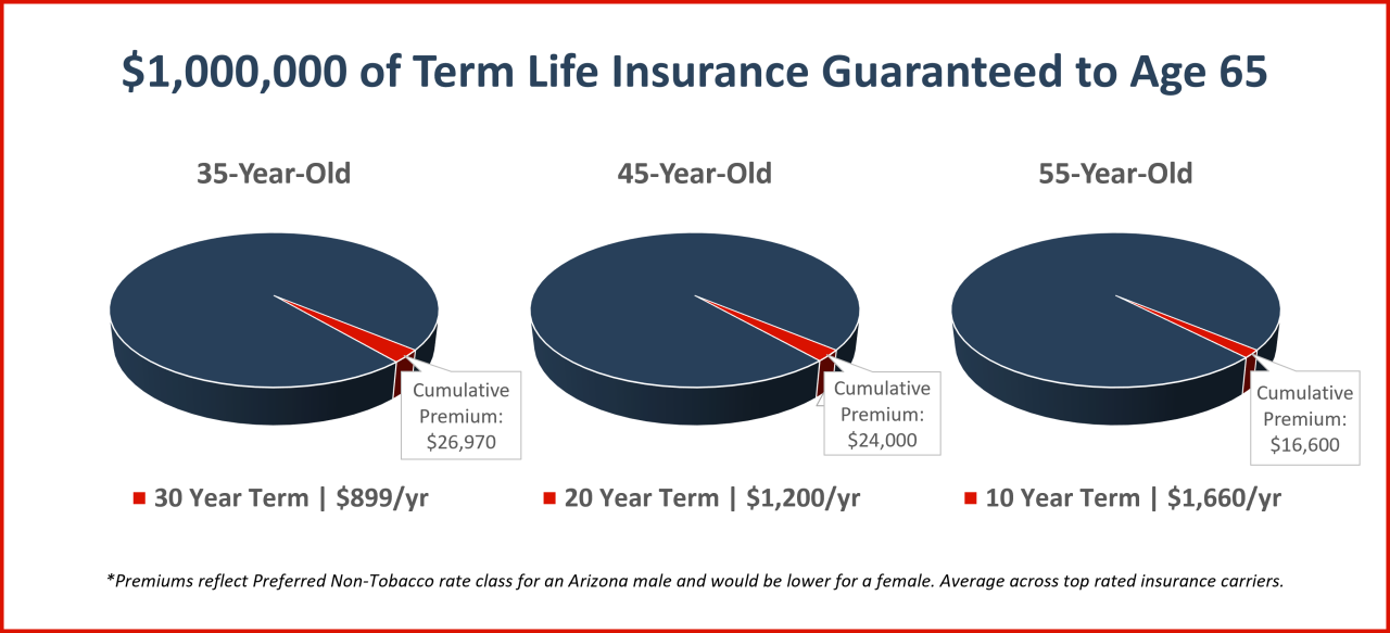 Term life insurance cost