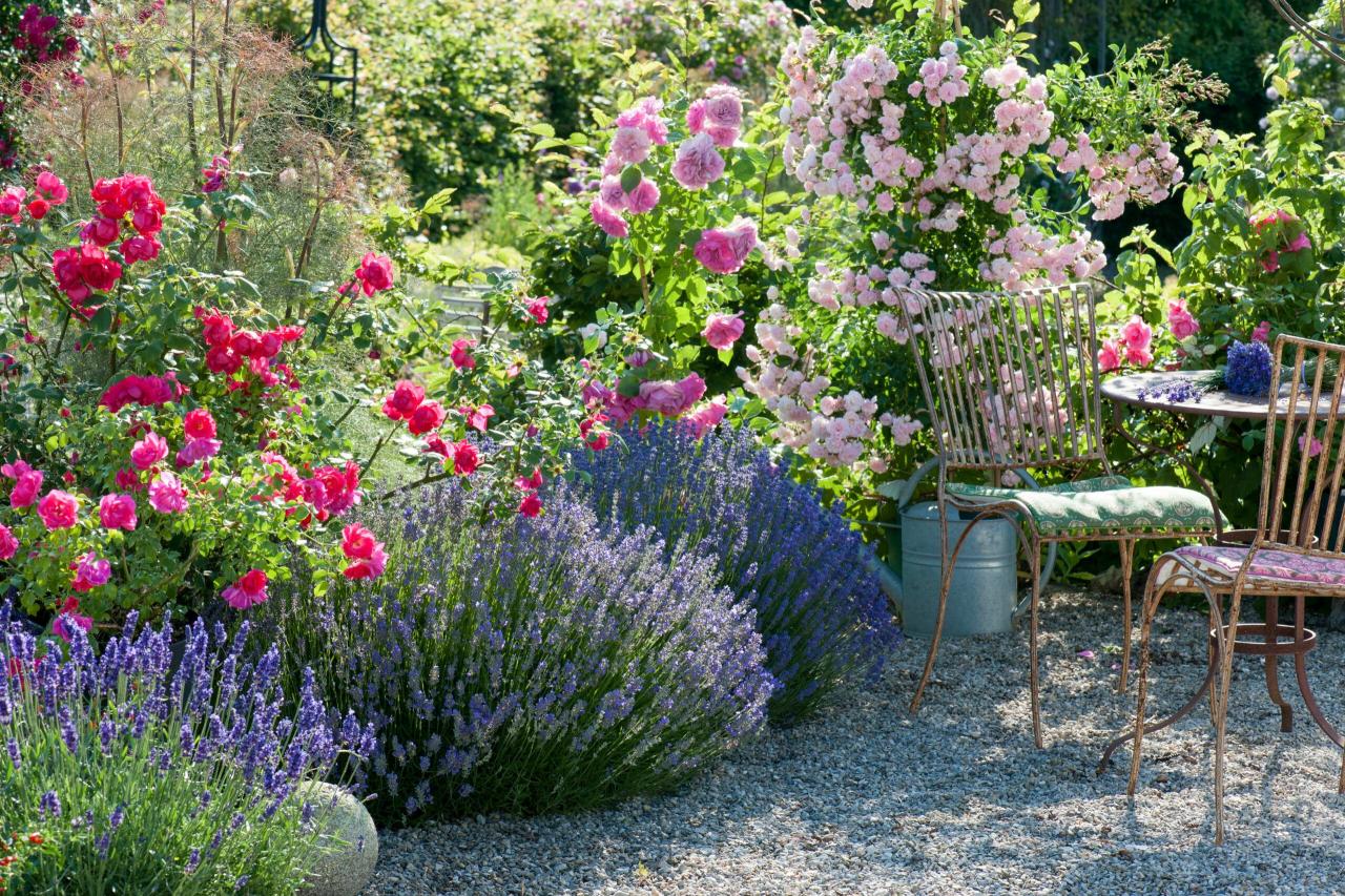 Fragrant Flowers for a Scent-Sational Garden