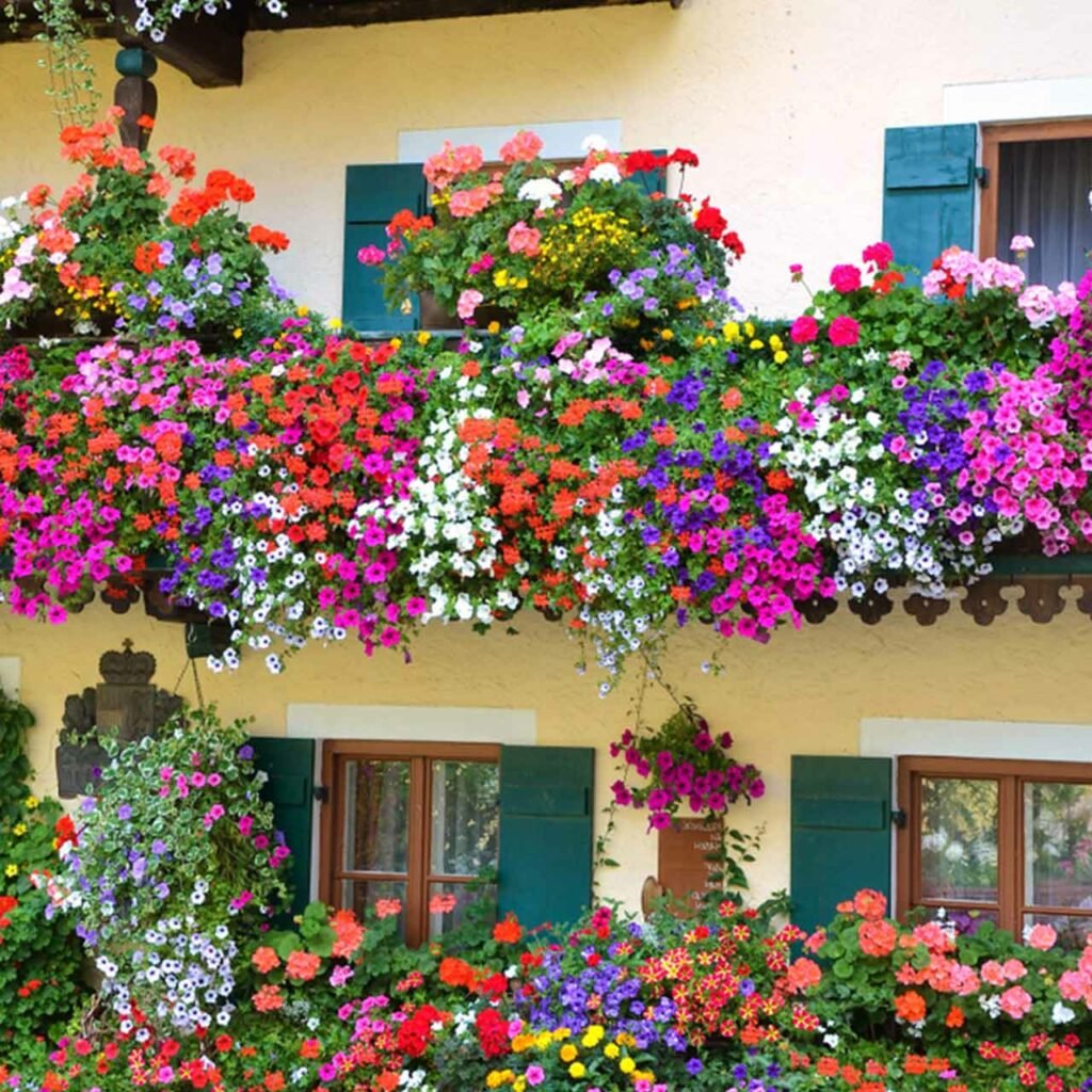 The Best Plants for Balcony Gardens