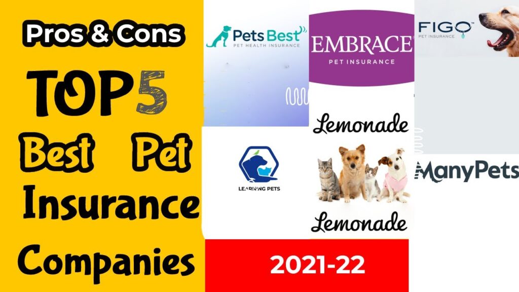 Best pet insurance companies