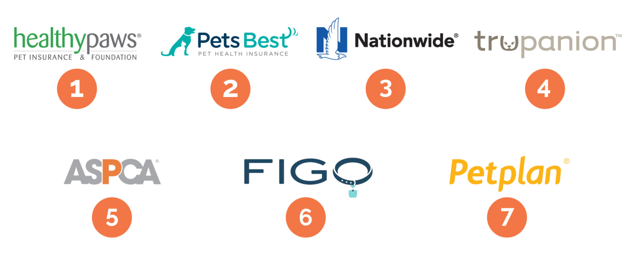 Best pet insurance companies