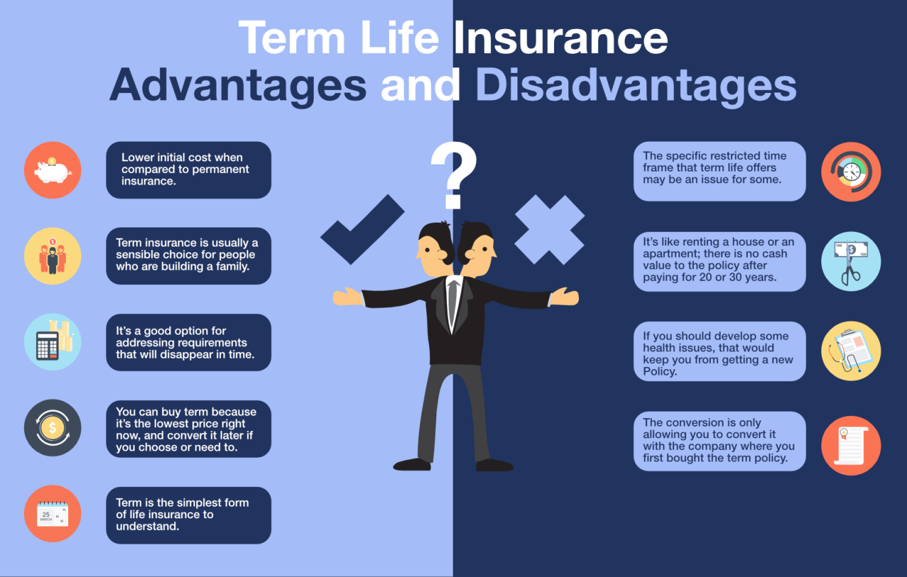 Term insurance quotes