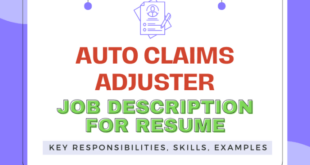 Insurance Claims Adjuster Jobs A Comprehensive Guide