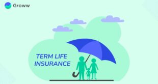 Term Life Insurance Rate A Comprehensive Guide