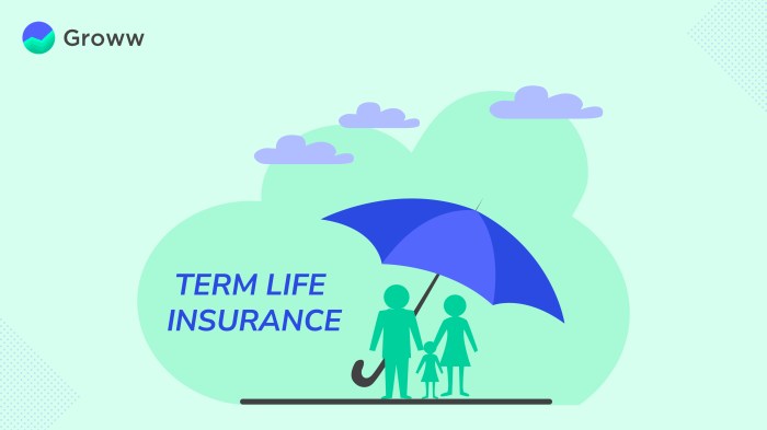 Term life insurance rate