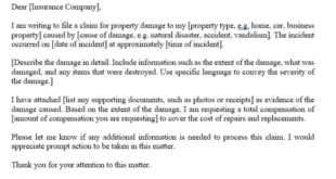 Property Damage Insurance Claim Intake Form