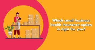 Business Health Insurance Small A Guide