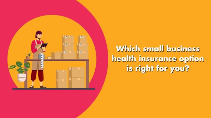 Business health insurance small